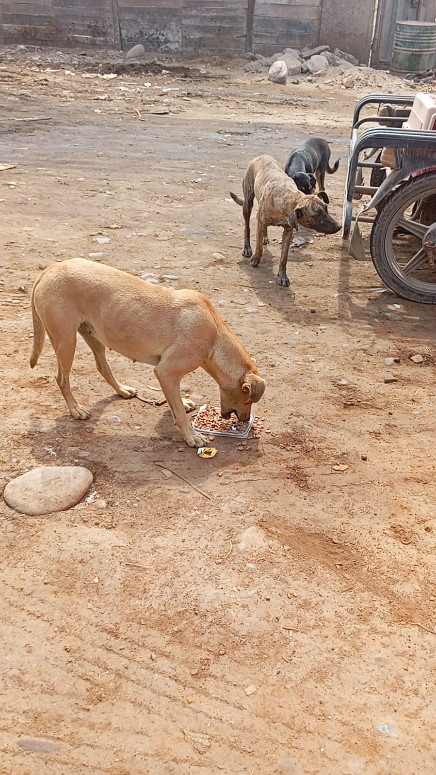 whatsapp image 2026 02 02 at 8.32.21 pm